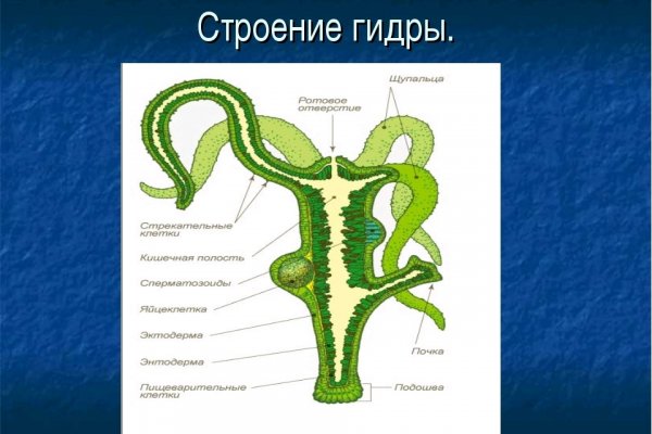 Как зайти на кракен kraken014 com